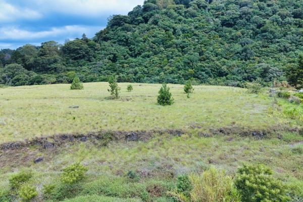 Large residential lot for sale – paso ancho