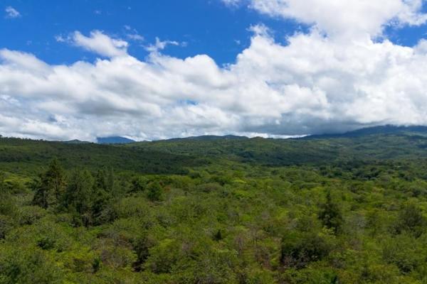 Spacious 59,086 m² land in síndigo, caldera