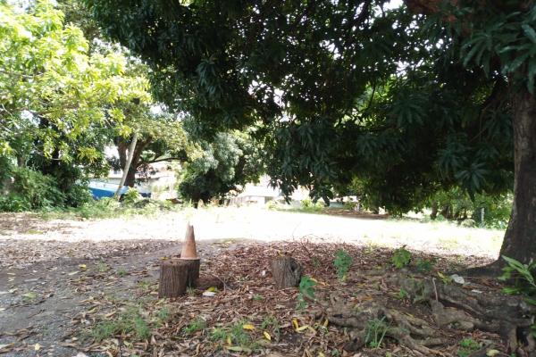 Venta de terreno en pueblo nuevo