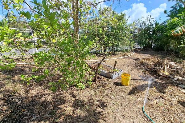Ollas abajo plaza comercial en venta