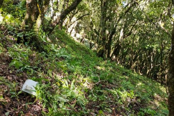 7,843 m² lot for sale in volcancito arriba