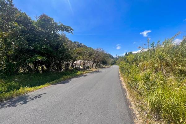 Mountain sanctuary: serene lot with hillside charm