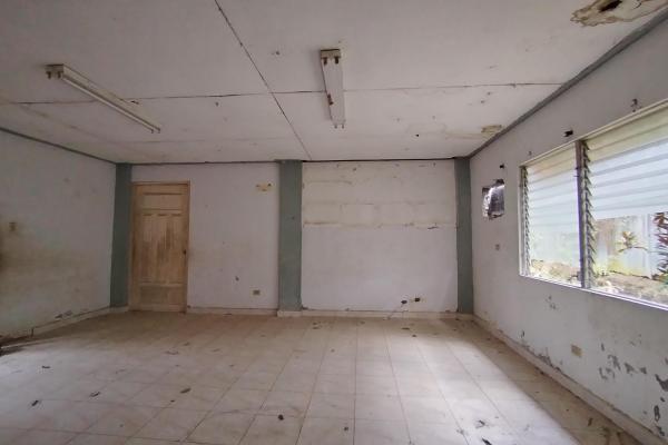 Warehouse with 1 hectare, coquito, david