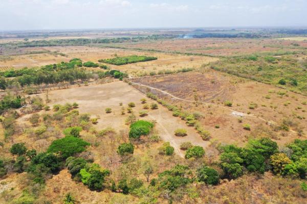 4.4-hectare land opportunity near buenaventura