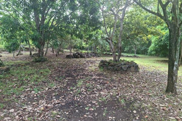 Excelente terreno con mejoras vía el valle