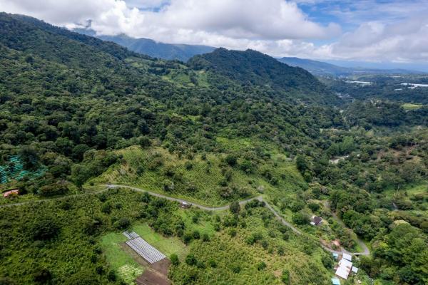 12 plus - ha producing coffee farm in boquete