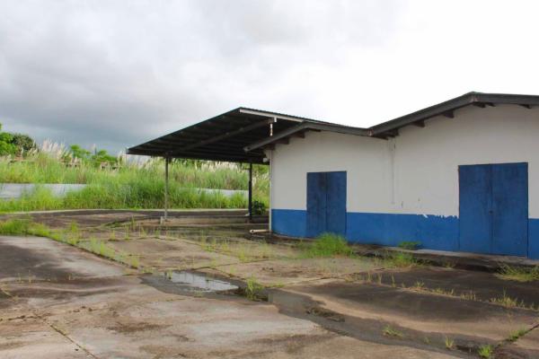 Terreno de 1.2 hectáreas, con 2 galeras, vía tocumen.