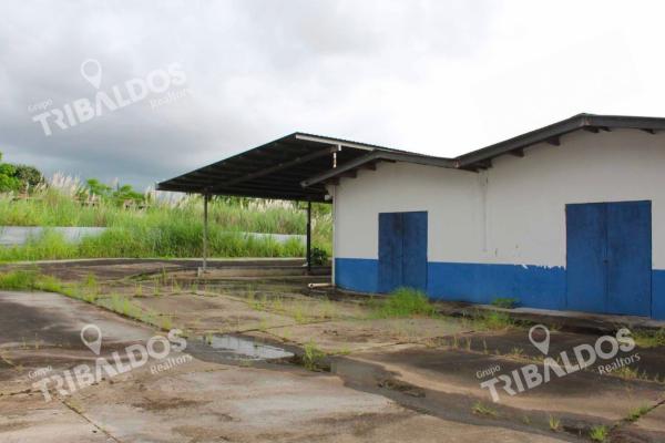 Terreno de 1.2 hectáreas, con 2 galeras, vía tocumen.