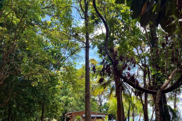 Casa frente al mar fuera de la red en venta
