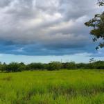 Se vende lote de terreno de 2.5 hectáres en el retiro, antón, coclé
