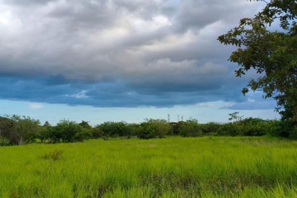 Se vende lote de terreno de 2.5 hectáres en el retiro, antón, coclé