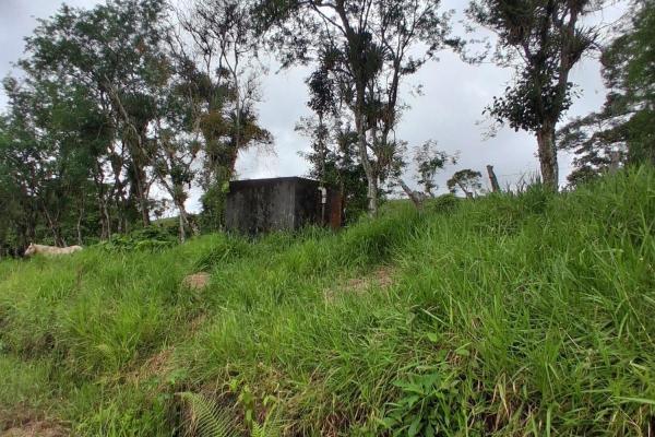 Finca con tierra negra, pasto, clima fresco y bien ubicada.