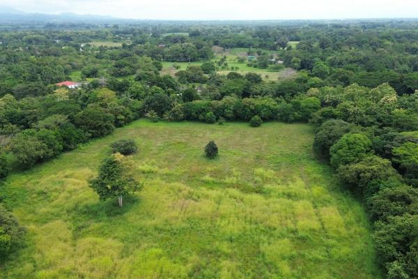 +9 hectares of flat beachfront land for sale