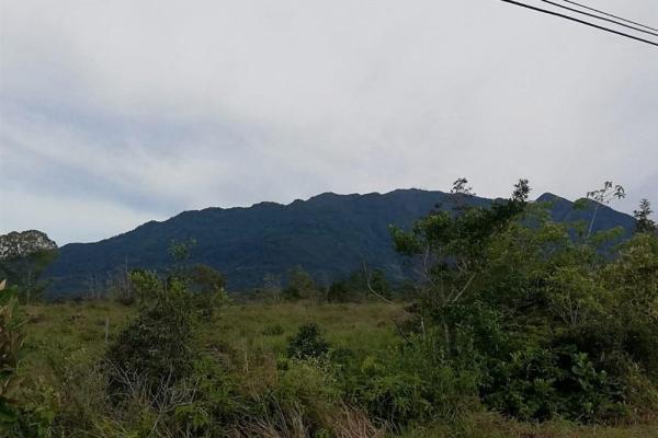 Amplios 5 hectáreas en venta en alto boquete