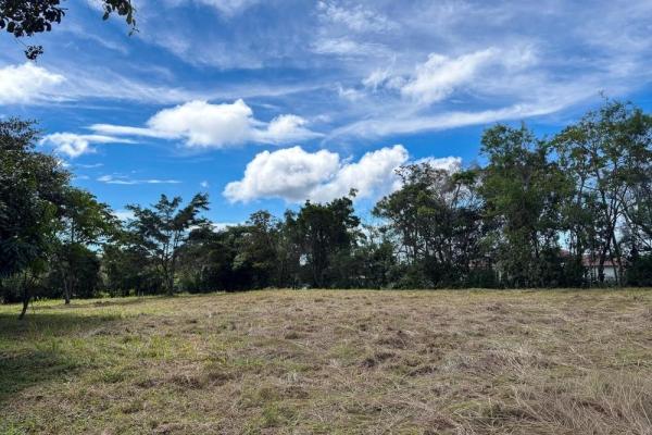 Spacious 9,229 m² flat lot in alto boquete