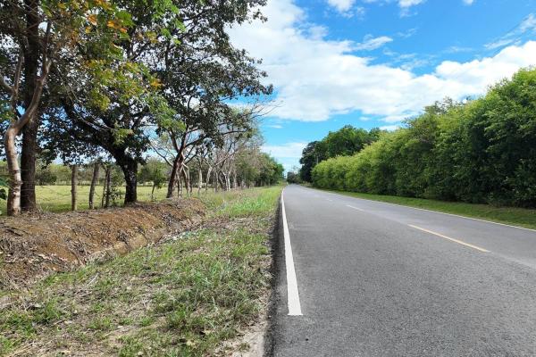 Prime flat land for sale in cochea abajo, david