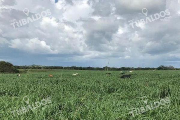 Venta de finca agrícola en ocú