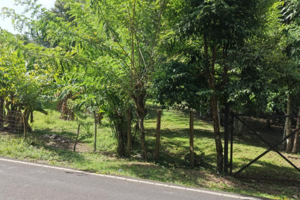 Venta de terreno en san juan colón