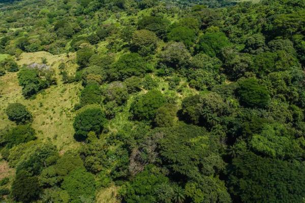 Expansive land for sale in las lomas, david