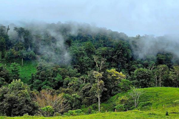 96.10 hectare in boquerón, las monjas