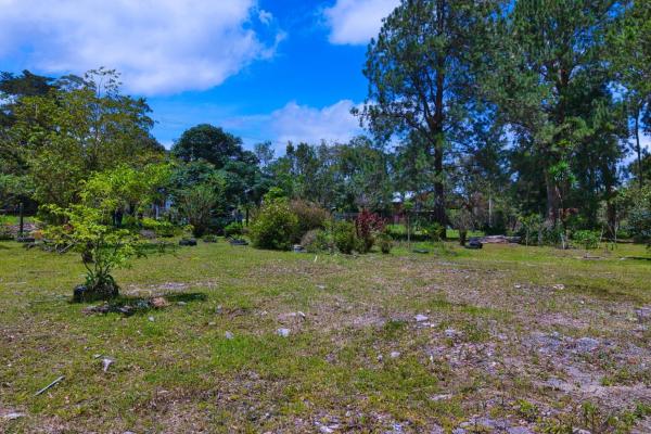 Experience the peace of volcán | land with a natural creek