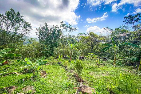 18.4 hectare land close to el cope, cocle
