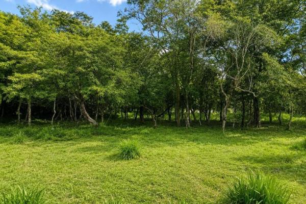 7.97 acres of land for sale on the road to caldera