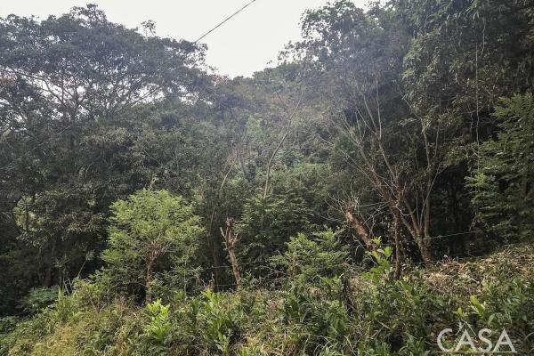 Terreno de 4 hectáreas en venta en veracruz, panamá