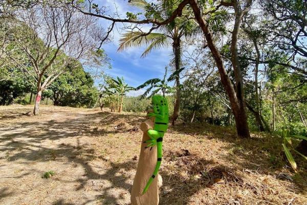 4.3 hectares finca – ideal community project