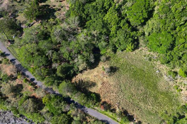 Mountain sanctuary: serene lot with hillside charm