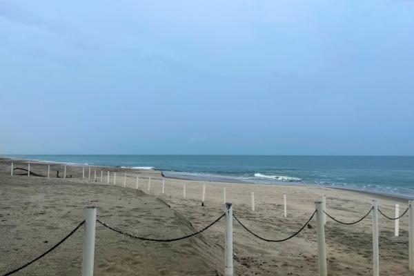 Land for sale of 5000 m2 on the beach of sant