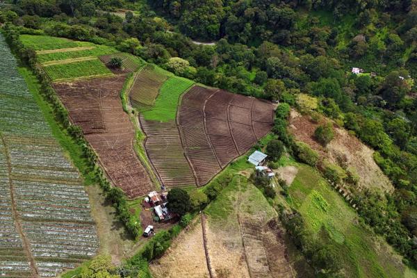 Tierras montañosas en boquete, panamá