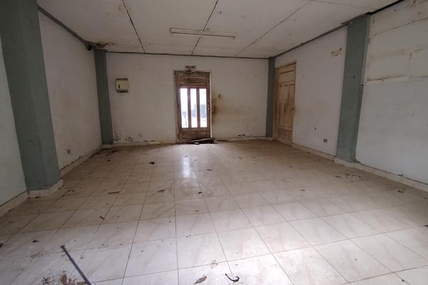Warehouse with 1 hectare, coquito, david