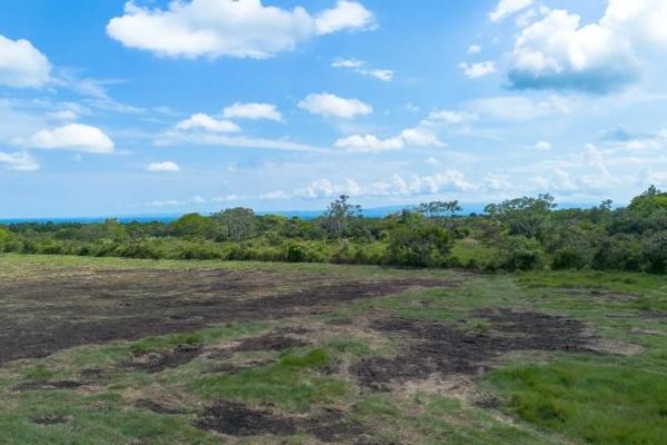 Terreno de 8 hectáreas en venta con acceso a la carretera panamericana.