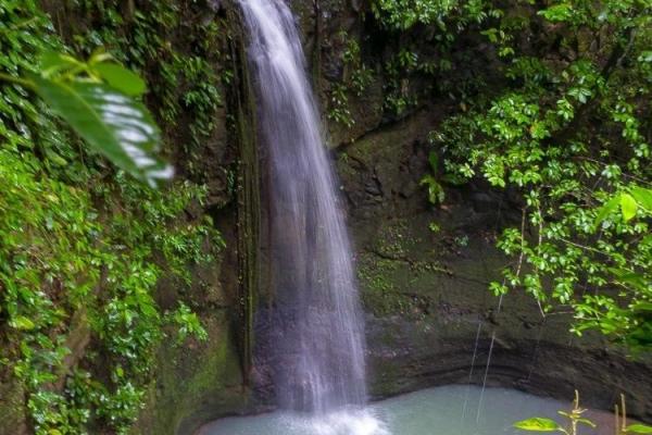 Amazing property for sale with private waterfalls