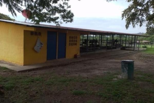 Fincas ganaderas en chame