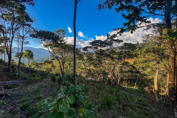 Mountain view lot for sale in jaramillo, boquete