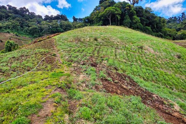 Finca agrícola en venta – cerro punta, chiriquí