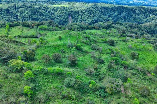 55.74 hectares of paradise in the mountains