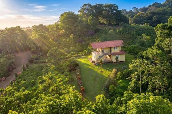 Coffee farm for sale in el cascajal, la pintada