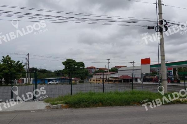 Terreno en llano bonito