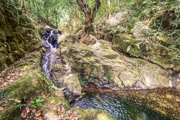 18.4 hectare land close to el cope, cocle