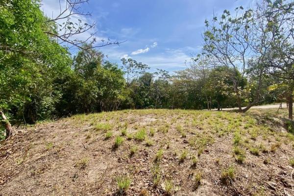 4.3 hectares finca – ideal community project