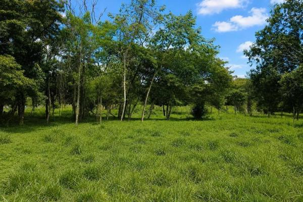 7.97 acres of land for sale on the road to caldera