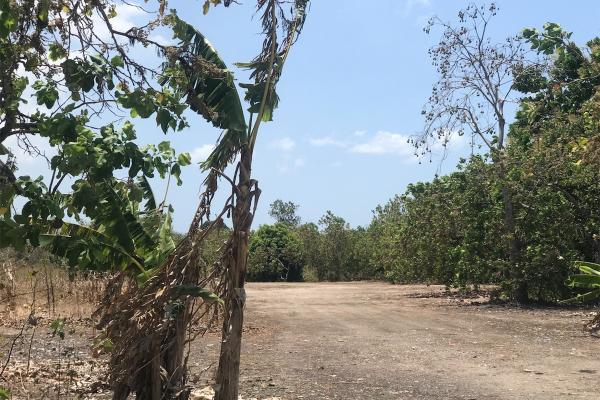 Venta de terreno frente a la panamericana, santa clara