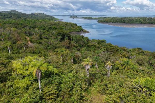 Terreno insular de 10,5 hectáreas con acceso por carretera.
