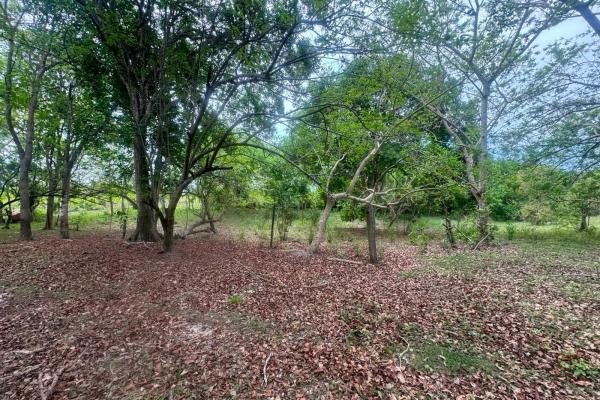 Venta de terreno de 9.9 hectáreas cerca de playas en el higo, san carlos