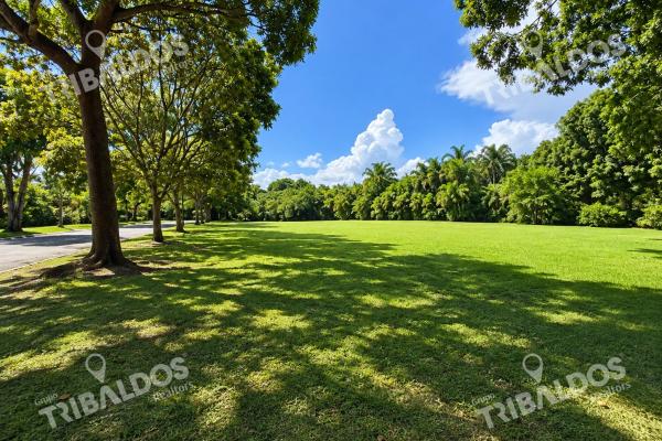 Land in ph island estates in santa maria.