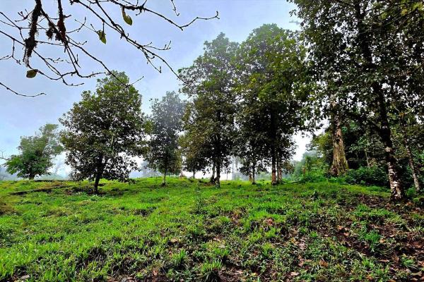 96.10 hectare in boquerón, las monjas