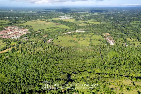 Terreno urbanizable de 11 hectáreas en venta - bagalá, panamá